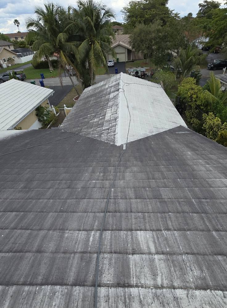 Tile roof soft wash — before