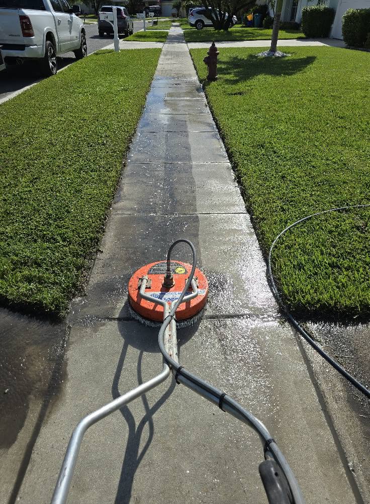 Driveway Cleaning