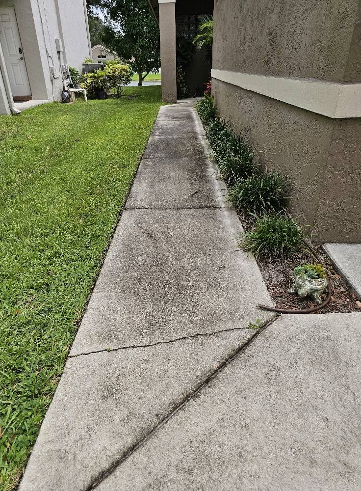 Paver driveway cleaning — before